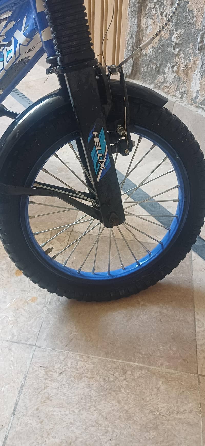 branded cycle 8