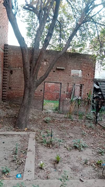 8.25 Marla's Building Available For Sale.