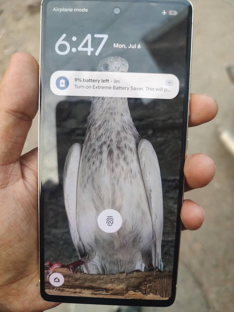 Google Pixel 7 0