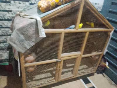 Cage and Australian parrots for sale
