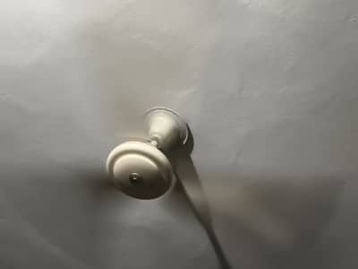 Electric Fan