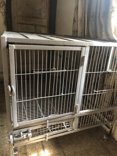 Cage (pingra)