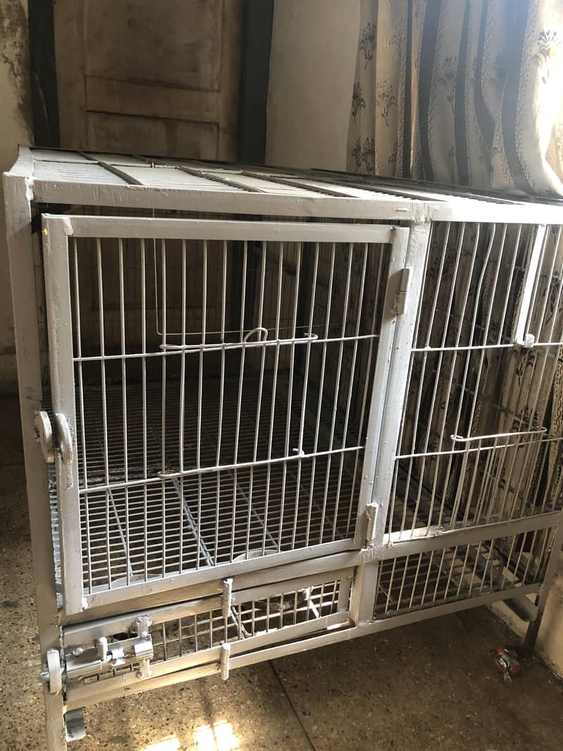Cage (pingra) 0