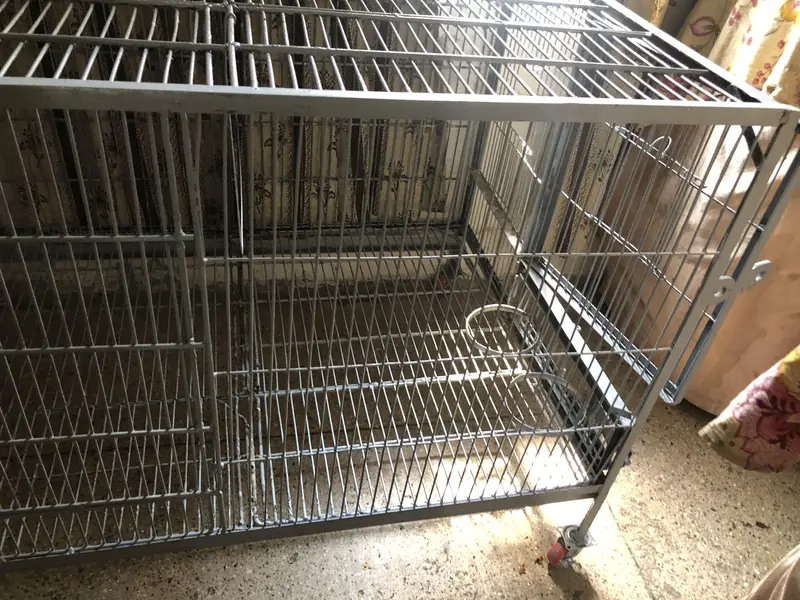 Cage (pingra) — photo 2