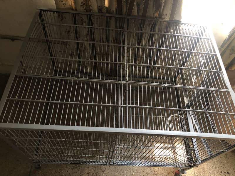 Cage (pingra) 2