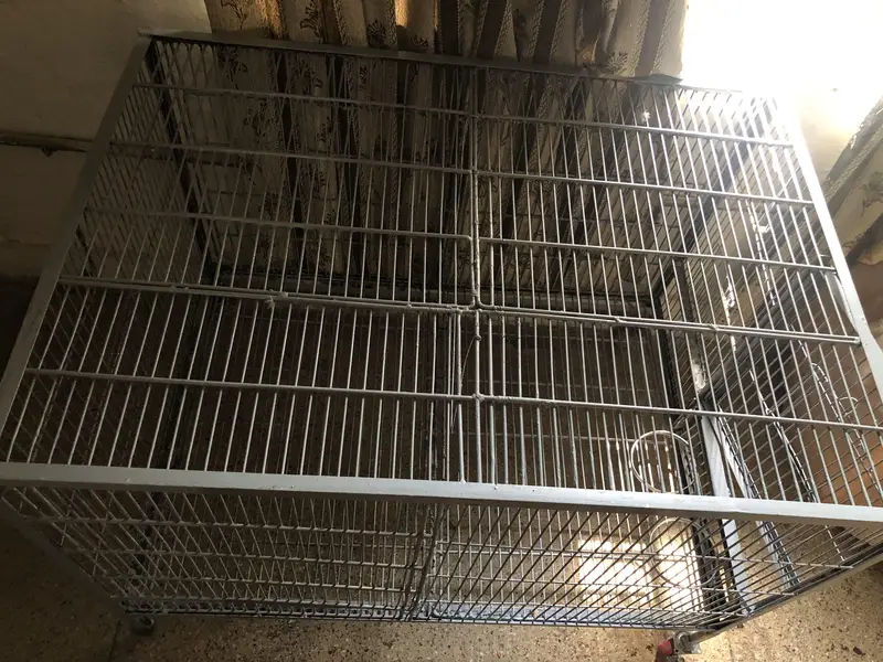 Cage (pingra) — photo 3