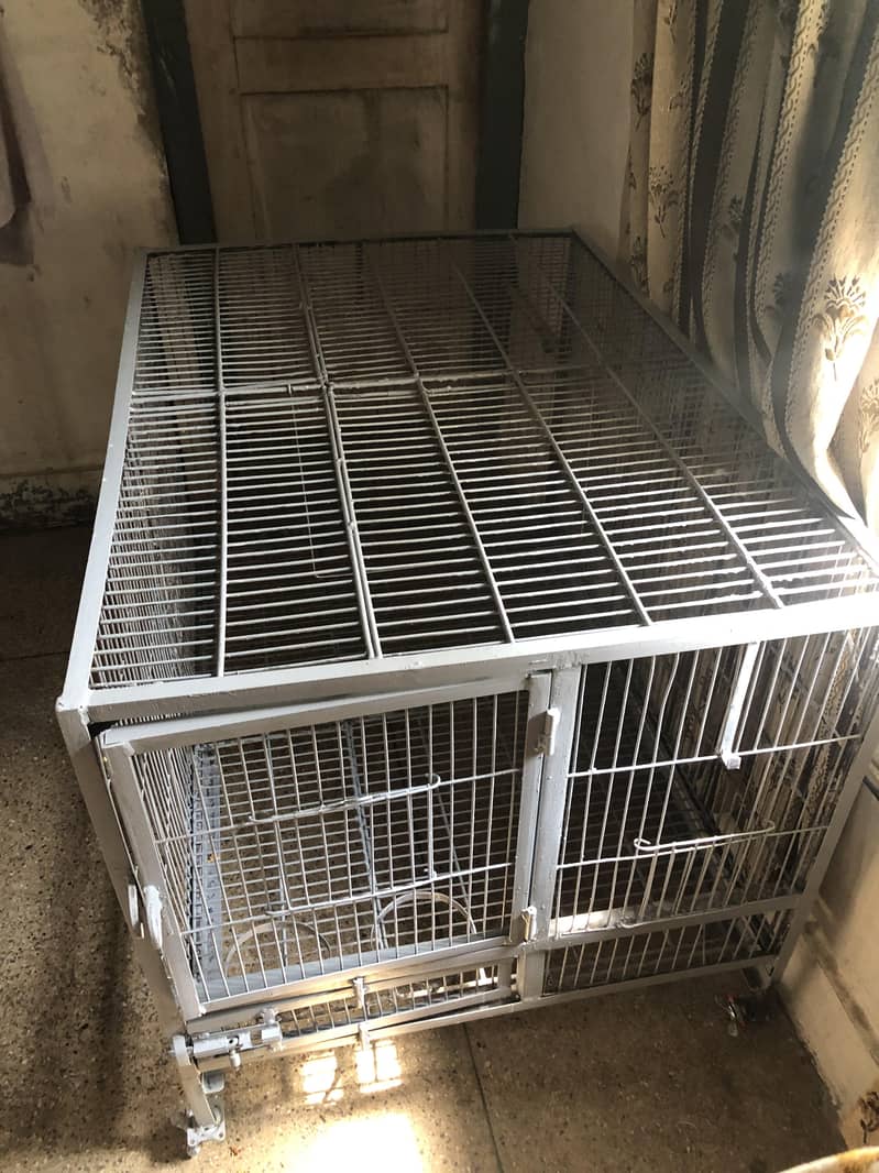 Cage (pingra) 4