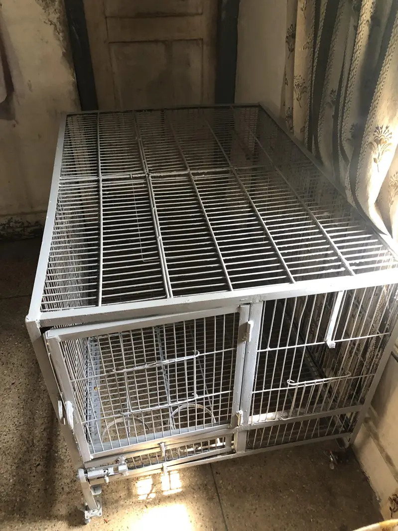Cage (pingra) — photo 5