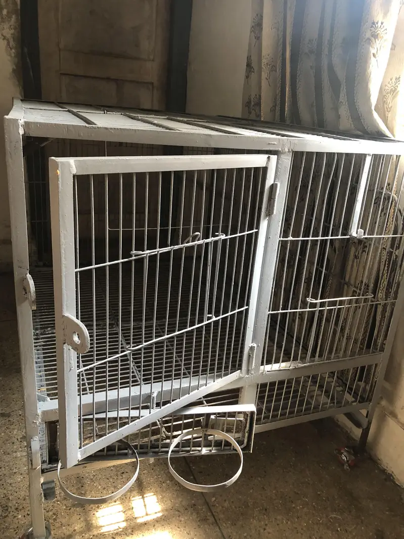 Cage (pingra) — photo 6