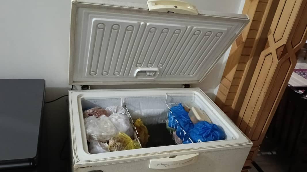 deep freezer 1