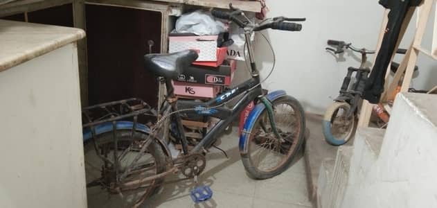 Cycle