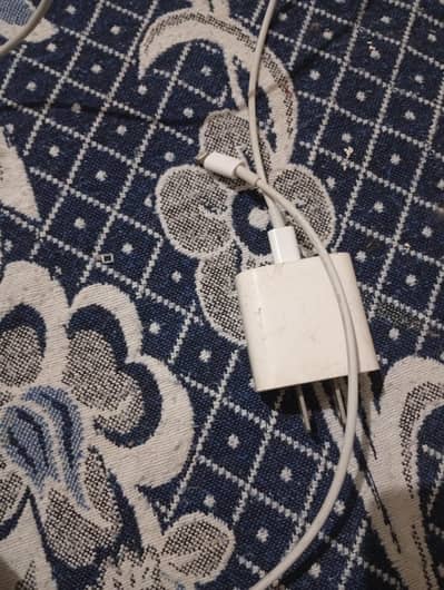 original iPhone charger