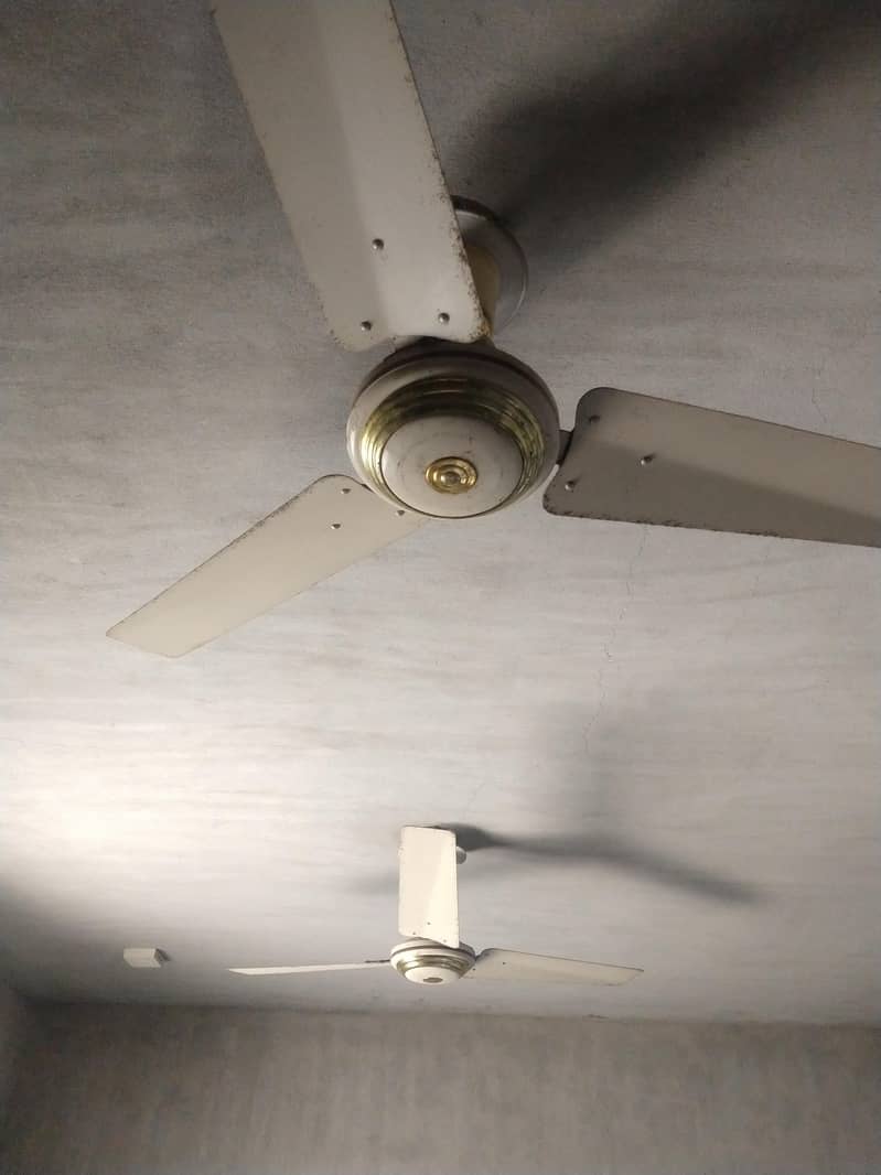 Ceiling fans 3