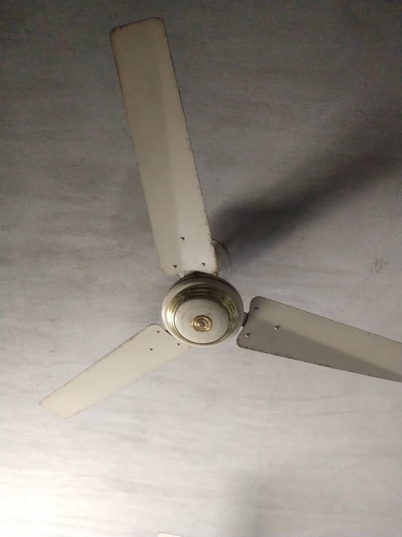 Ceiling fans 4