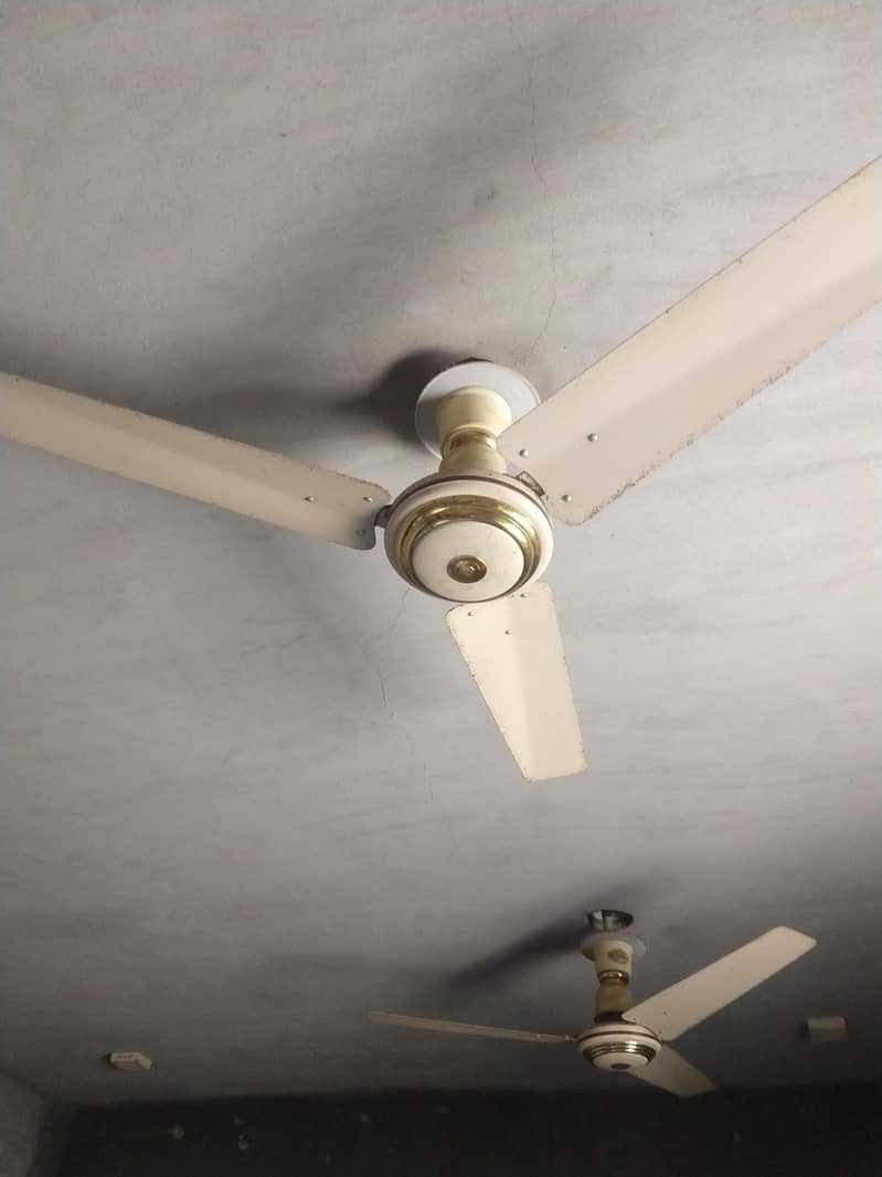 Ceiling fans 5