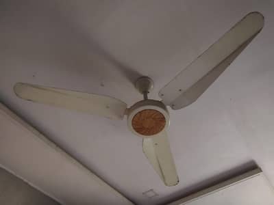 Ceiling fans