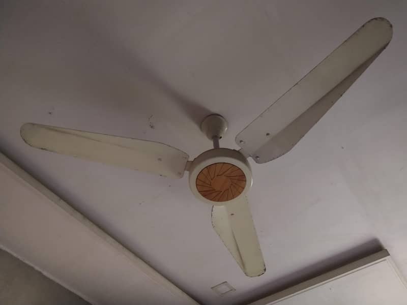 Ceiling fans 6