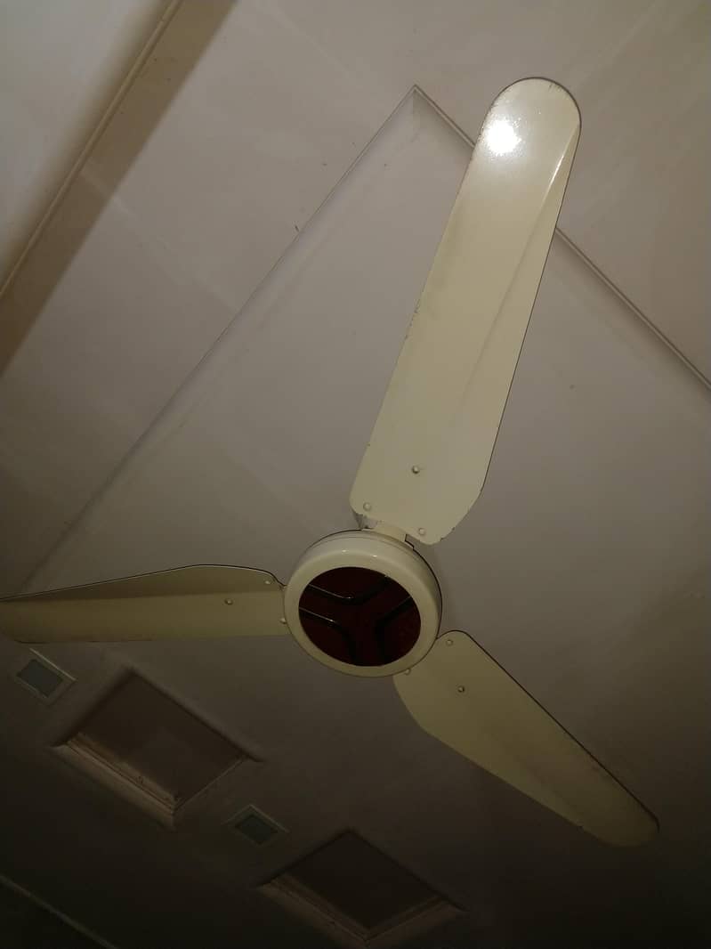 Ceiling fans 7