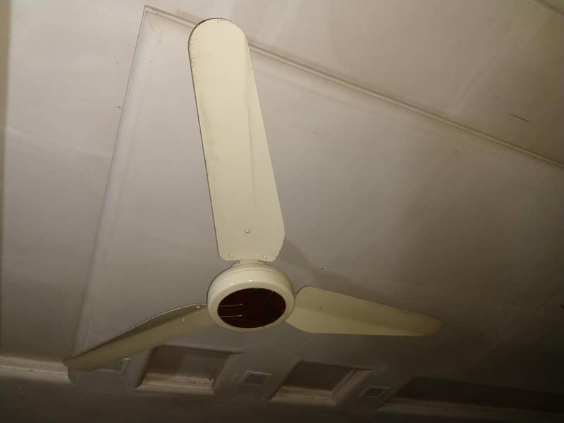 Ceiling fans 8
