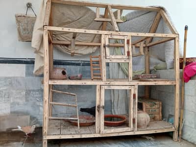 bird's cage