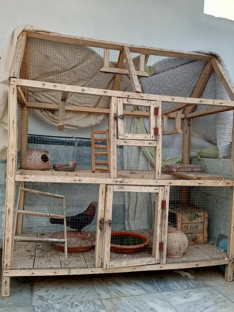 bird's cage — photo 2