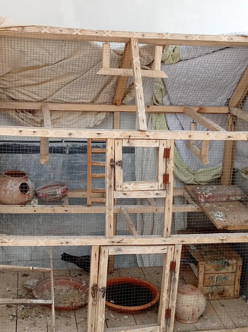 bird's cage — photo 3