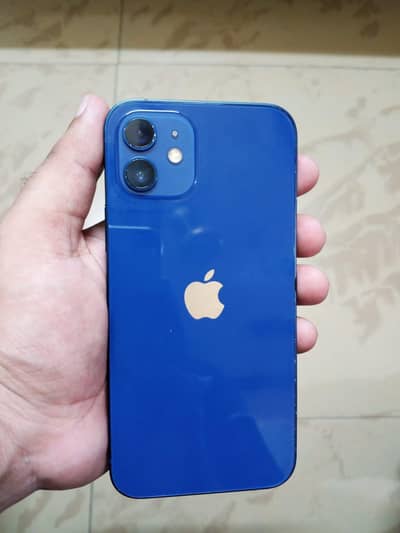 Apple iPhone 12