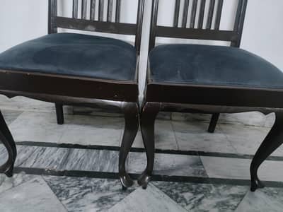 Chairs pure talli wood