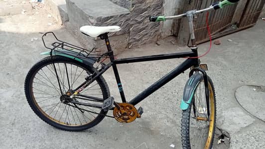 phonex cycle