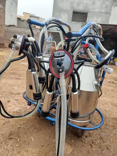 Milking machine ( double cluster double bucket)