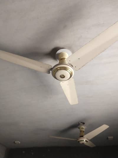 Ceiling fan Ac/220