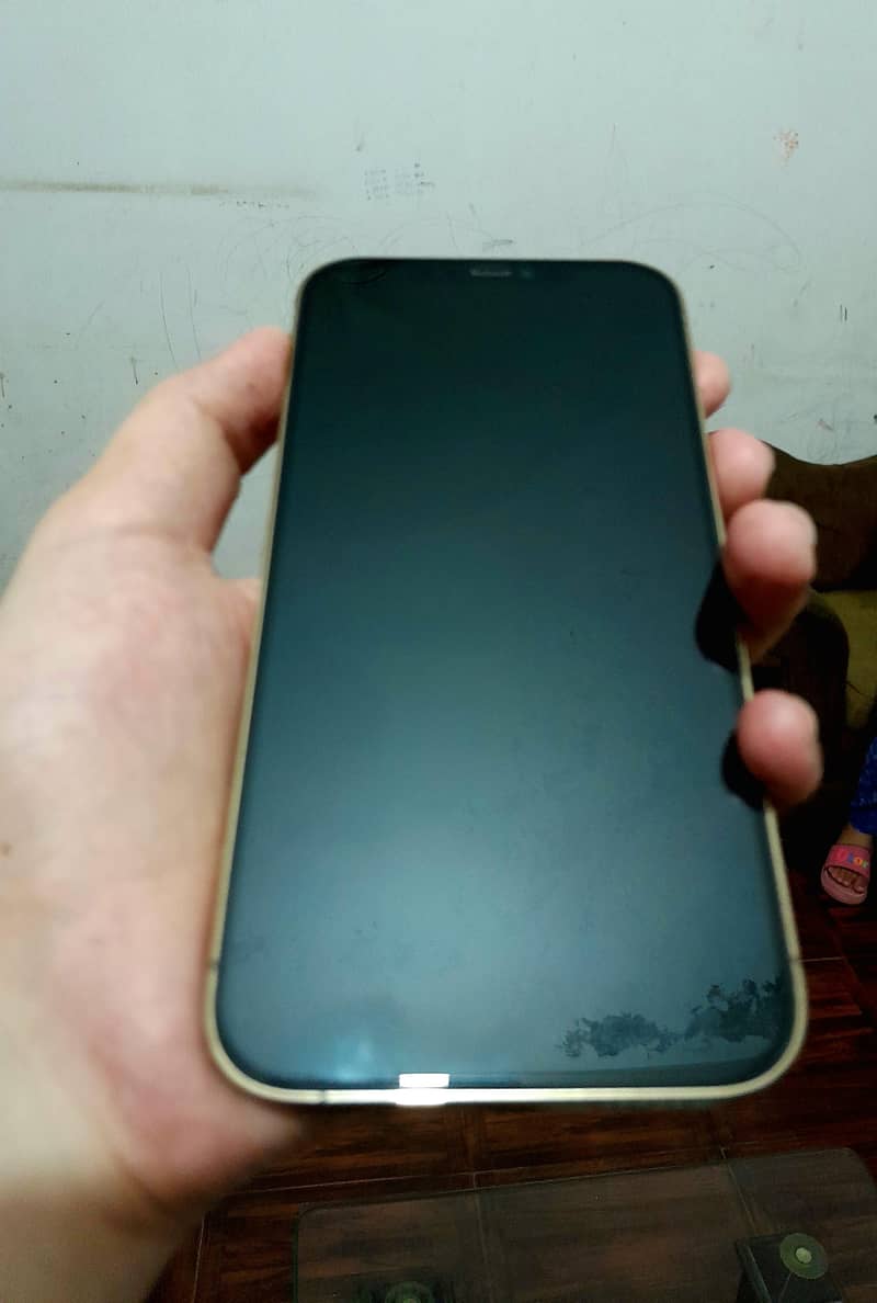 Apple iPhone 12 Pro Max 1
