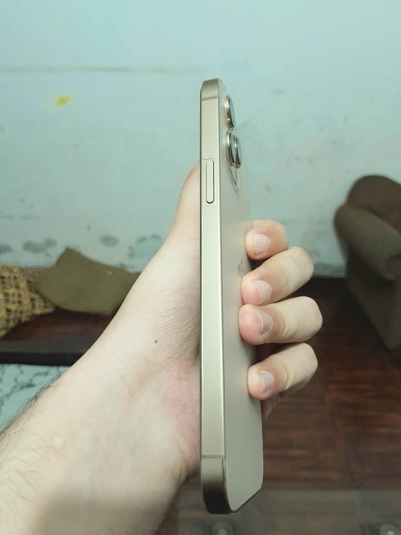 Apple iPhone 12 Pro Max 2