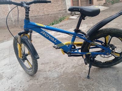 Royal bicycle