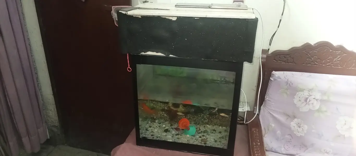 beautiful aquarium for sale in reasonable price urgent for sale — photo 3