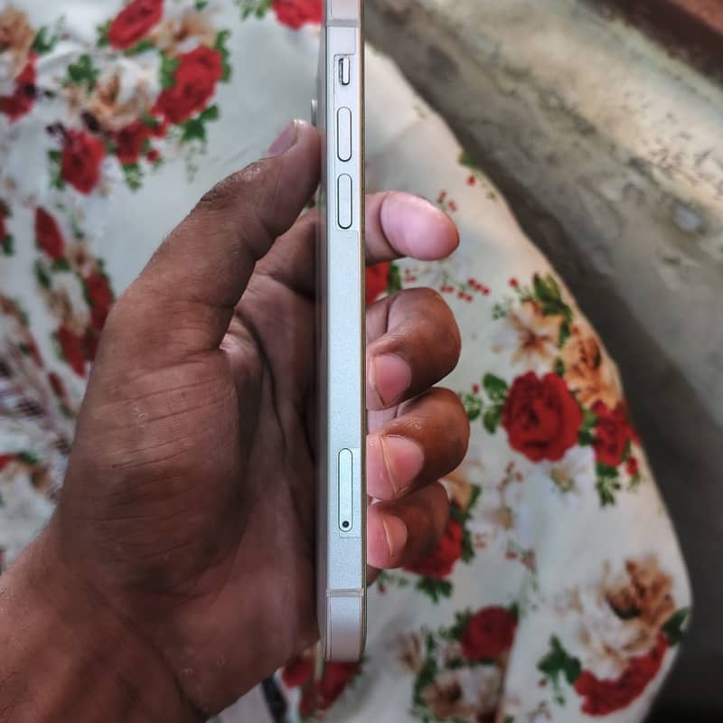 iPhone 12 4