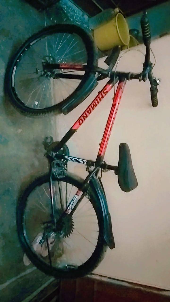 cycle10/10 condition 2