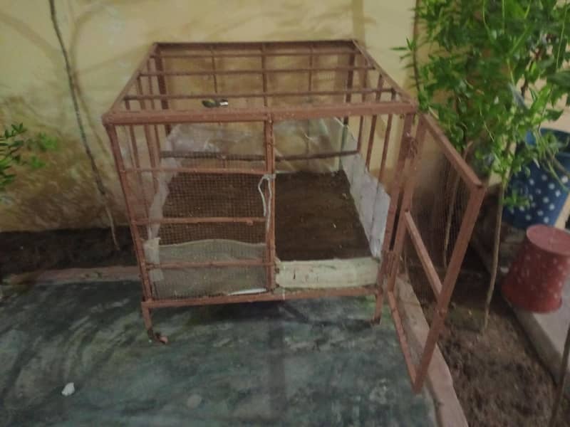 cages 1