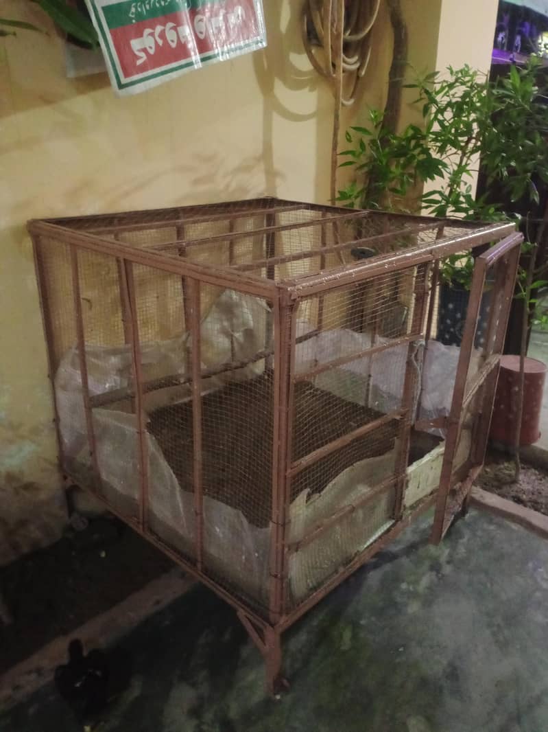 cages 2