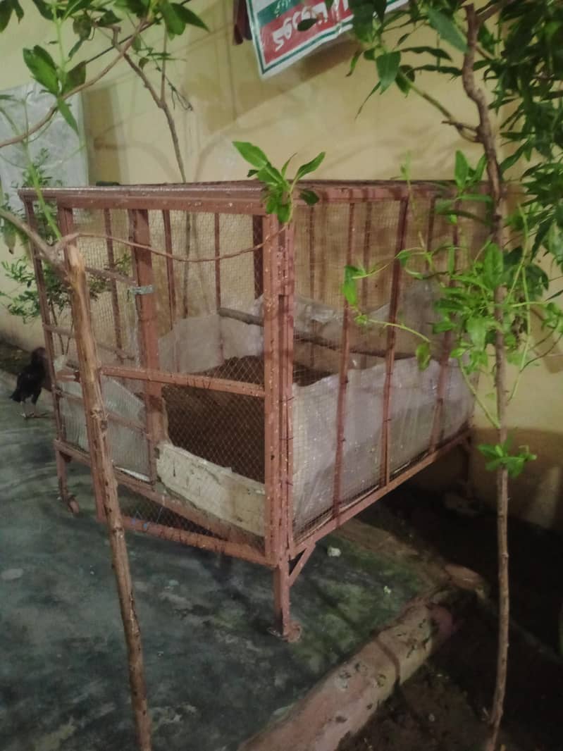 cages 3