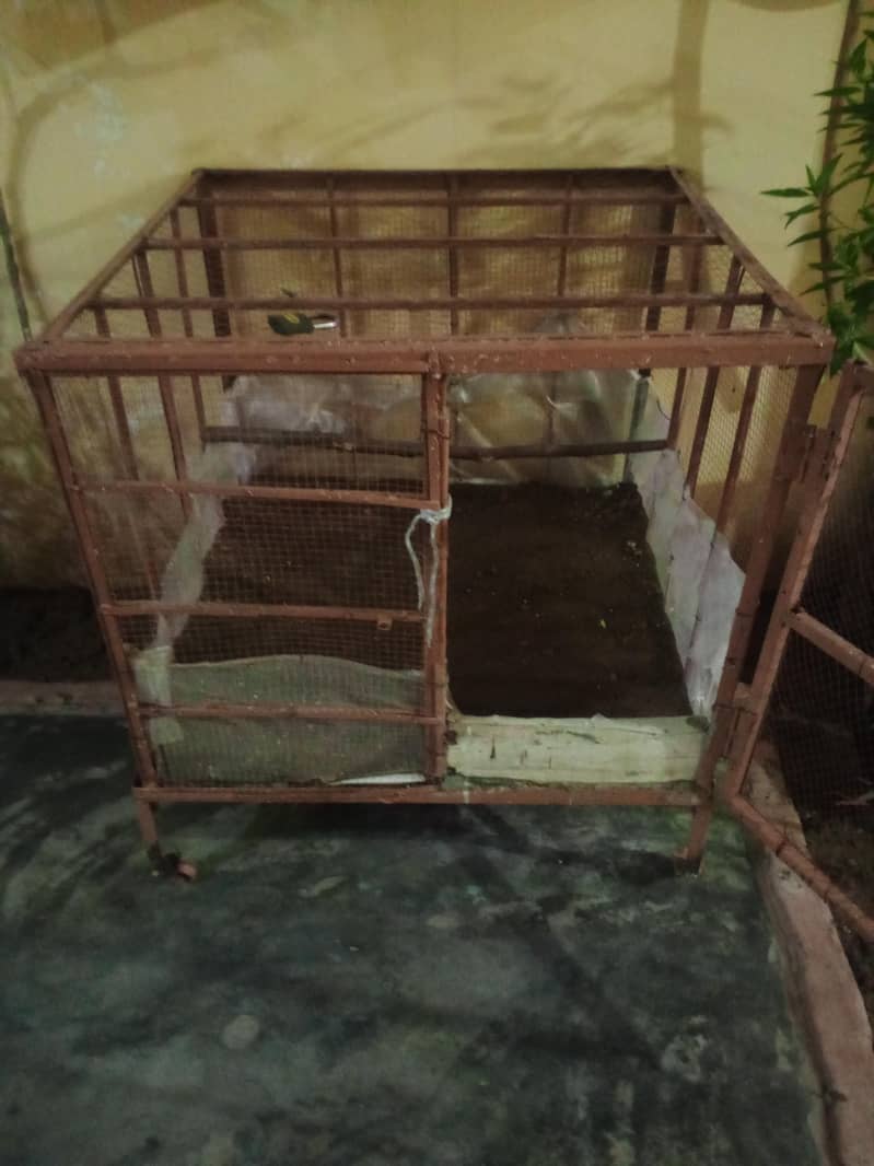 cages 5