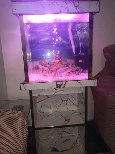 fish aquarium 1.50 inch length and width