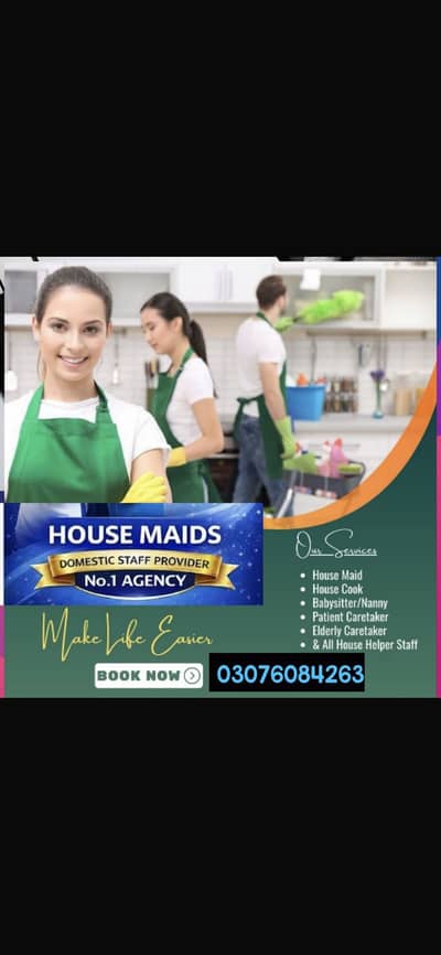 Domestic job