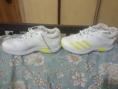 Adidas Adizero Cricket Bowling Spikes UK 9.5 - Brand New