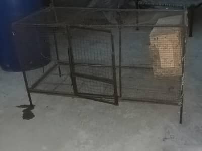 Big Size Iron Cage with Free Breeding Box