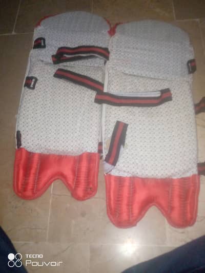 cricket hard ball paids