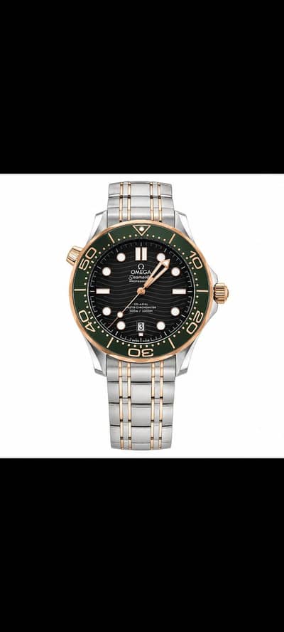 Luxury Stainless Steel Diver Watch With Transparent Case Back