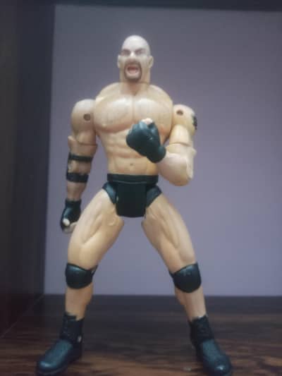 wwe action figures and wwe ring