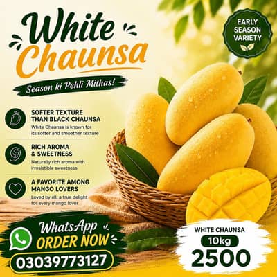 Fresh Mango Fruit For Sale, Bulk Mango Available, Best & Sweet Mango