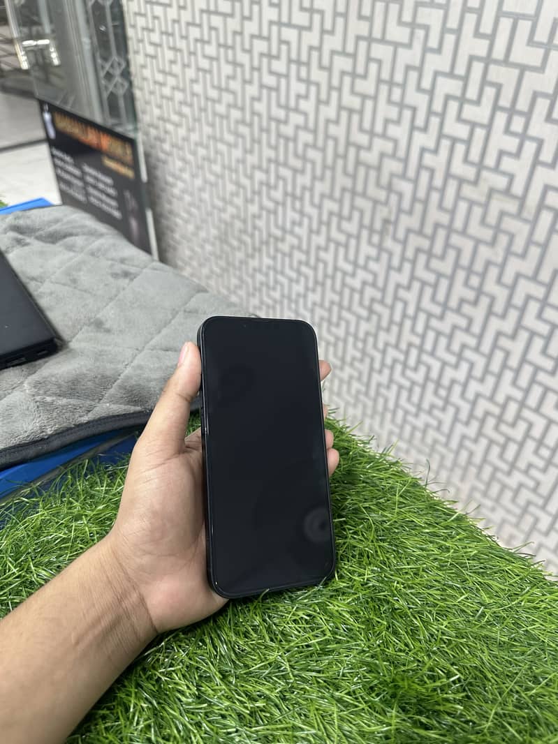 Apple iPhone 13 0